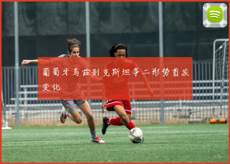 葡萄牙乌兹别克斯坦争二形势首发变化
