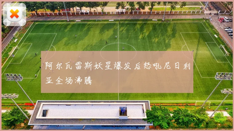 阿尔瓦雷斯妖星爆发后怒吼尼日利亚全场沸腾