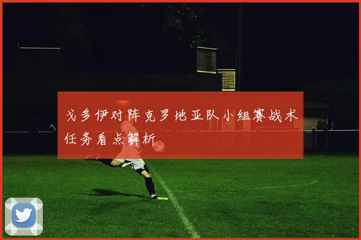 戈多伊对阵克罗地亚队小组赛战术任务看点解析