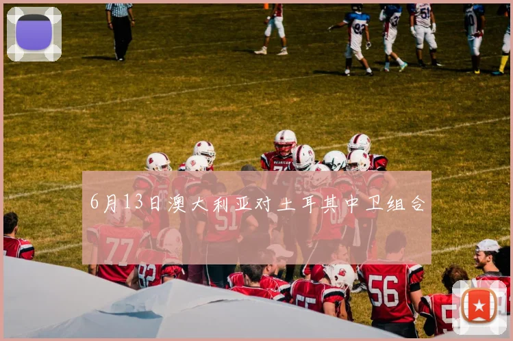 6月13日澳大利亚对土耳其中卫组合