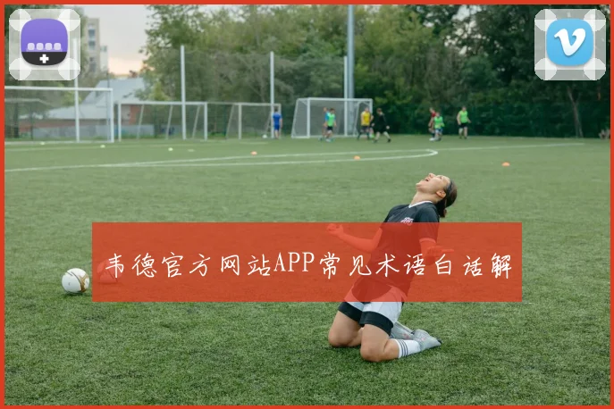 韦德官方网站APP常见术语白话解