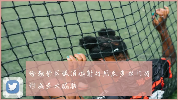 哈勒禁区弧顶远射对厄瓜多尔门将形成多大威胁