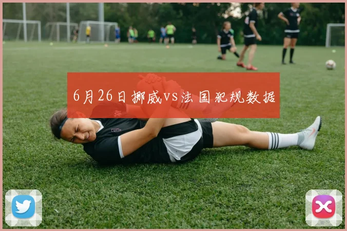6月26日挪威vs法国犯规数据