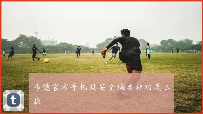 韦德官方手机站安全域名核对怎么找