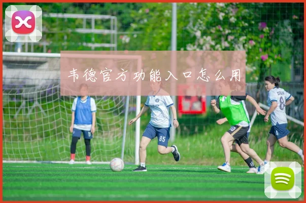 韦德官方功能入口怎么用